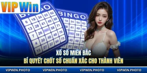 Xổ Số Miền Bắc - Bí Quyết Chốt Số Chuẩn Xác Cho Thành Viên